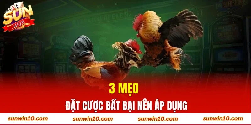 3 mẹo đặt cược bất bại nên áp dụng