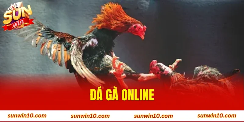 Đá Gà Online