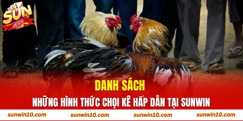 Danh sách những hình thức chọi kê hấp dẫn tại Sunwin