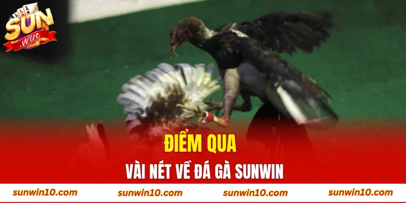 Điểm qua vài nét về đá gà Sunwin