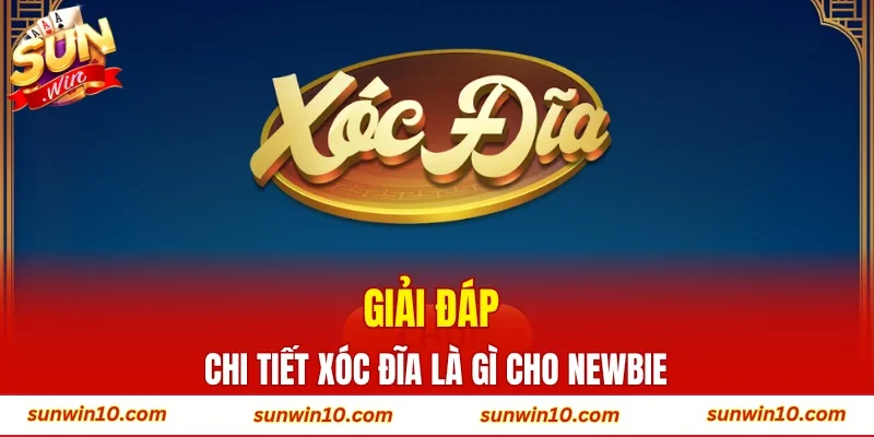 Giải đáp chi tiết xóc đĩa là gì cho newbie