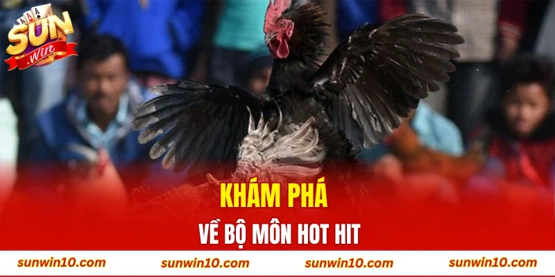 Khám phá về bộ môn hot hit