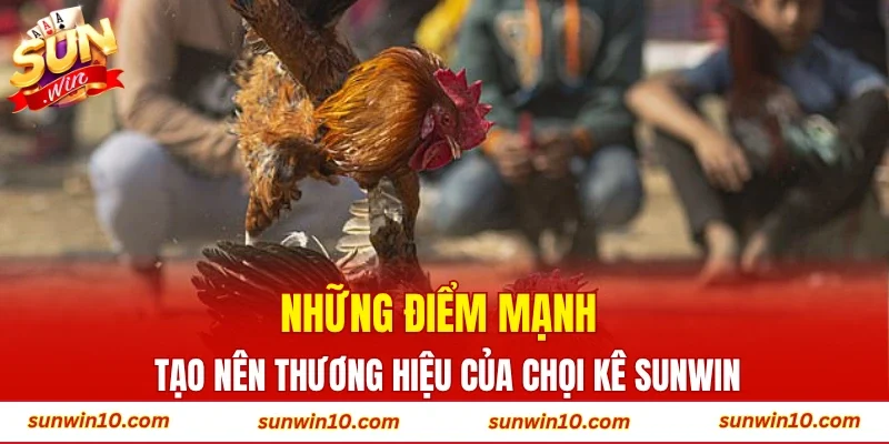 Những điểm mạnh tạo nên thương hiệu của chọi kê Sunwin