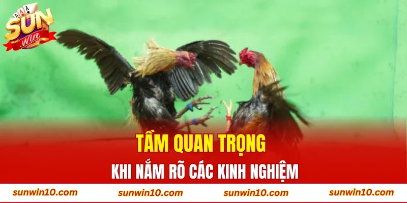 Tầm quan trọng khi nắm rõ các kinh nghiệm